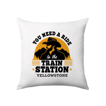 You need a ride to the train station, Sofa cushion 40x40cm includes filling