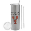 Tumbler stainless steel Silver 600ml, with metal straw & cleaning brush