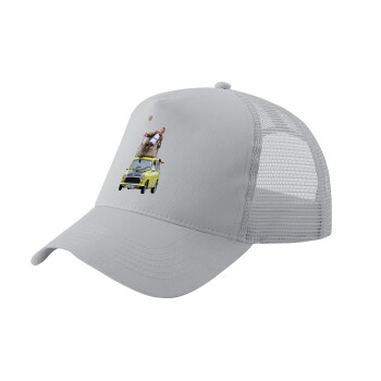 Mr. Bean mini 1000, Adult Structured Trucker Hat, with Mesh, GRAY (100% COTTON, ADULT, UNISEX, ONE SIZE)