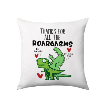 Thanks for all the ROARGASMS, Sofa cushion 40x40cm includes filling