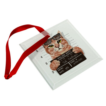 Cool cat, Christmas ornament, glass square ornament 9x9cm