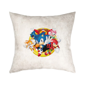 Sonic and friends, Μαξιλάρι καναπέ Δερματίνη Γκρι 40x40cm με γέμισμα