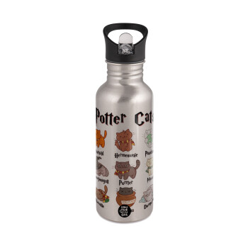 Potter Cats, Water bottle Silver with straw, stainless steel 600ml