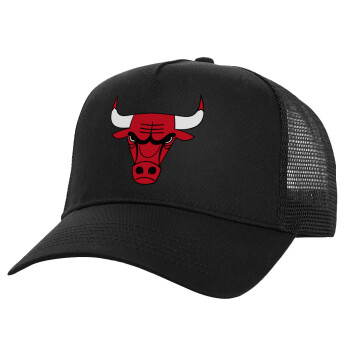 Chicago Bulls, Καπέλο Ενηλίκων Structured Trucker, με Δίχτυ, Μαύρο (100% ΒΑΜΒΑΚΕΡΟ, ΕΝΗΛΙΚΩΝ, UNISEX, ONE SIZE)