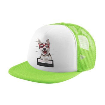 Warning, beware of Dog, Καπέλο παιδικό Soft Trucker με Δίχτυ ΠΡΑΣΙΝΟ/ΛΕΥΚΟ (POLYESTER, ΠΑΙΔΙΚΟ, ONE SIZE)