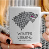   GOT House of Starks, winter coming