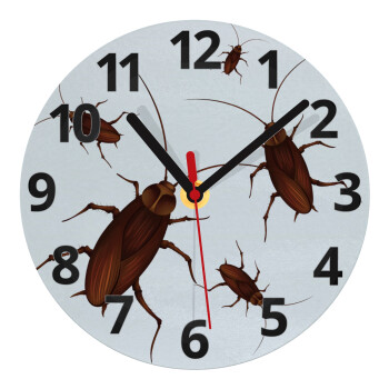 Κατσαρίδα, Ρολόι τοίχου γυάλινο (20cm)