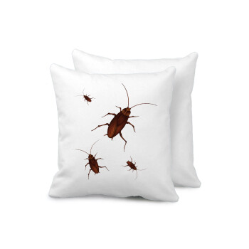 Blattodea, Sofa cushion 40x40cm includes filling