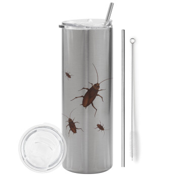 Blattodea, Tumbler stainless steel Silver 600ml, with metal straw & cleaning brush