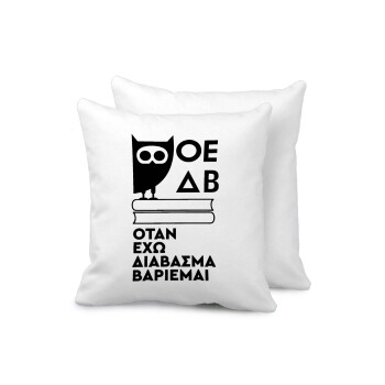 ΟΕΔΒ, Sofa cushion 40x40cm includes filling