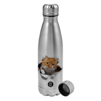 Cat cracked, Metallic water bottle, stainless steel, 750ml