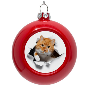 Cat cracked, Red Christmas tree ornament bauble 8cm