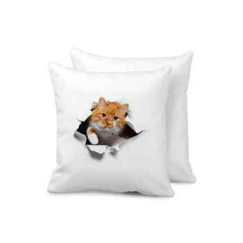Cat cracked, Sofa cushion 40x40cm includes filling