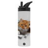 Metallic thermos bottle with straw & handle, stainless steel (Stainless steel 304), double-walled, 600ml.