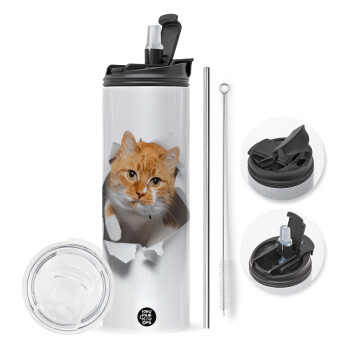 Cat cracked, Travel Tumbler 2 Lids, with metal straw & cleaning brush (Stainless steel 304 Food grade, BPA free, 600ml)